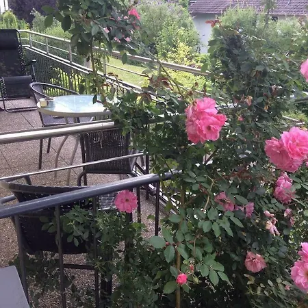 Ferienwohnung Natura