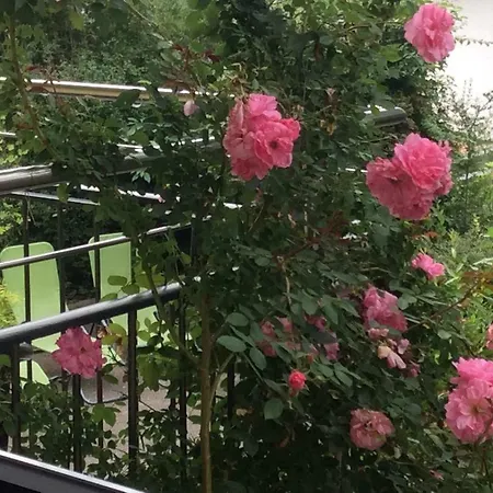 Ferienwohnung Natura * Baden-Baden